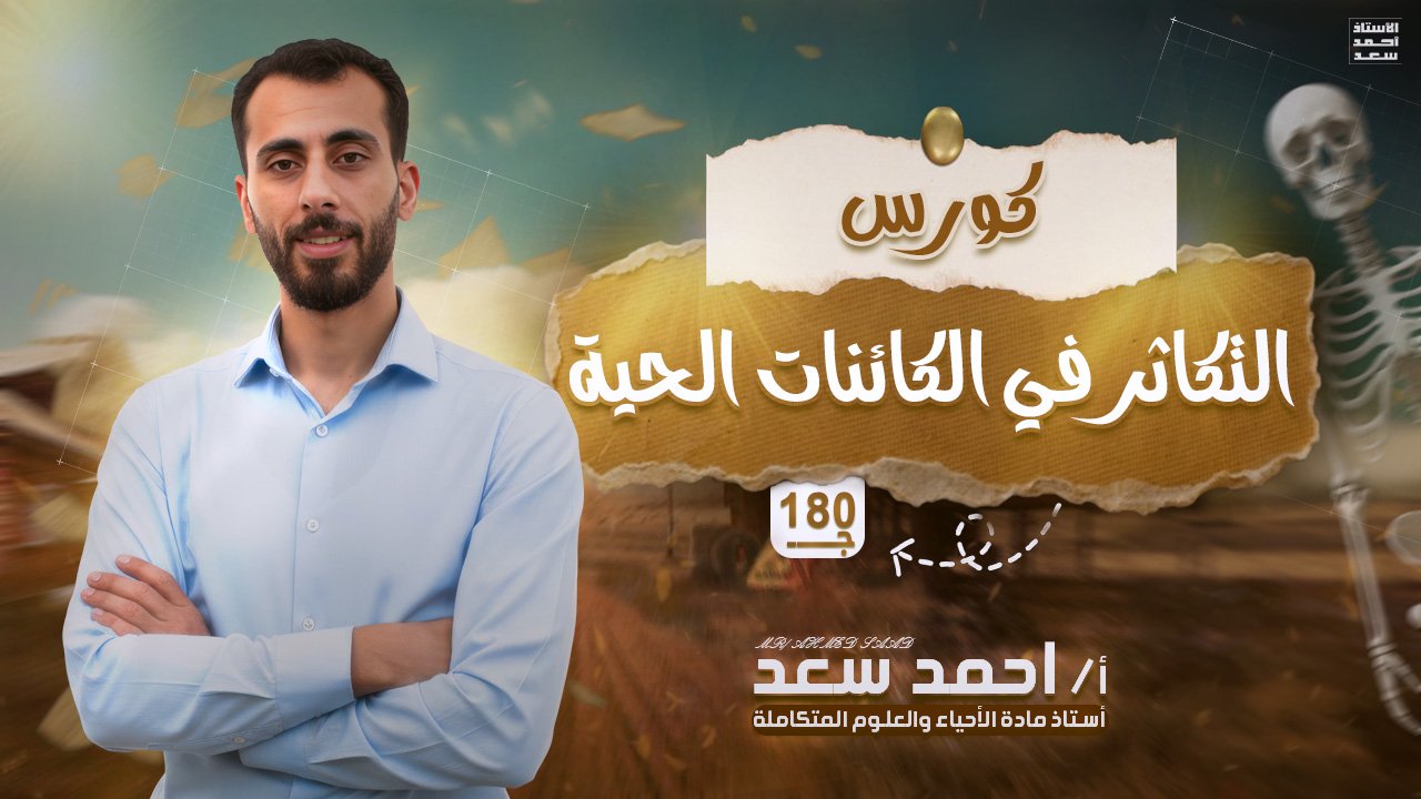 التكاثر في الكائنات الحية